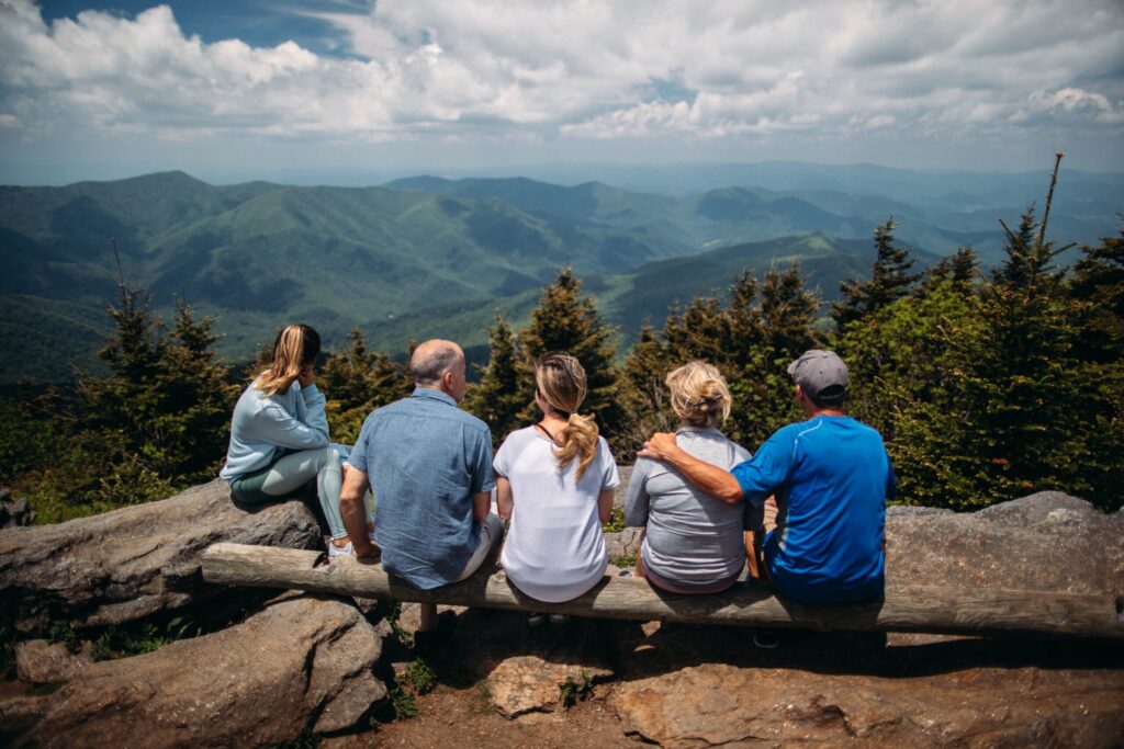 People sitting on log overlooking mountains